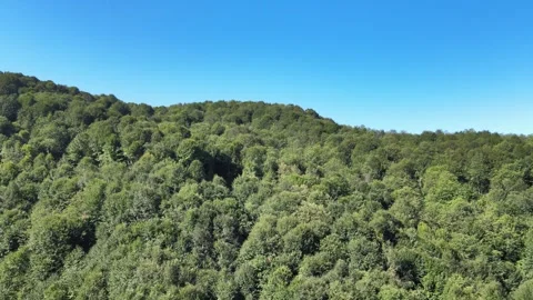 Mountains forest aerial view Stock Footage 240780682