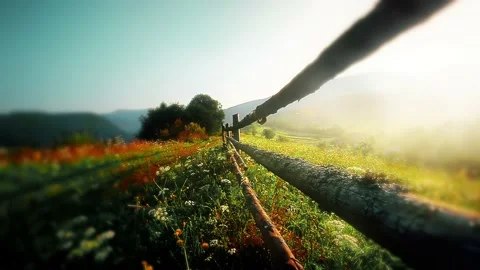 Mountains in a forest and cloudy sky Stock Footage 221234496