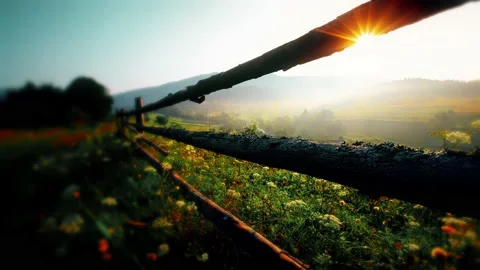 Mountains in a forest and cloudy sky Stock Footage 221687762