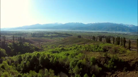 Mountains with forest and meadow Stock Footage 49548329