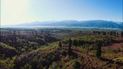 Mountains with forest and meadow Stock Footage 49548337