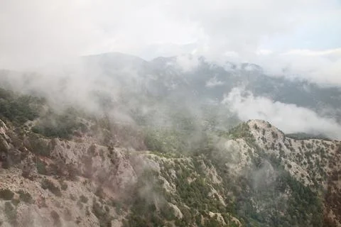 Mountains with a forest area covered with thick fog Stock Photos