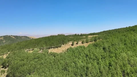 Mountains forest panoramic view Stock Footage 240763566