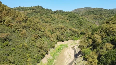 Mountains forest panoramic view Stock Footage 240786119
