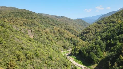 Mountains forest panoramic view Stock Footage 240786292