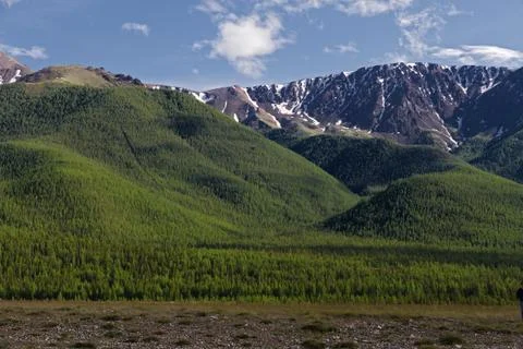 Mountains forest Stock Photos