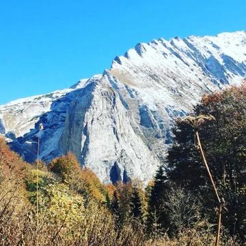 Mountains forest Stock Photos