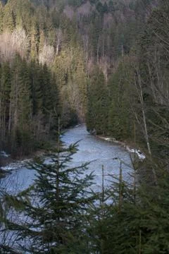 Mountains forest river Stock Photos