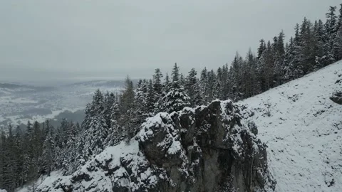 Mountains with forest10 Stock Footage 238844593