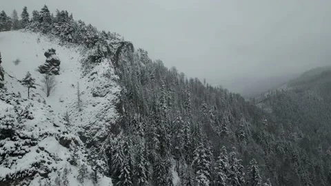 Mountains with forest11 Stock Footage 238846462