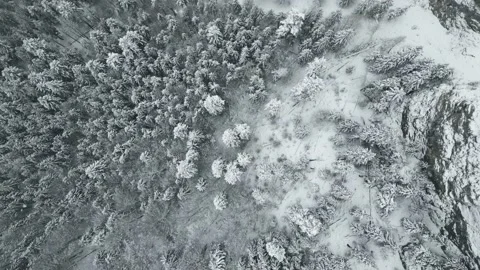 Mountains with forest13 Stock Footage 238852133