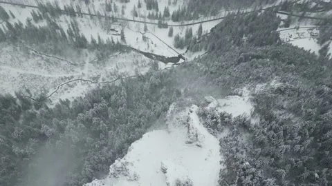 Mountains with forest14 Stock Footage 238850835