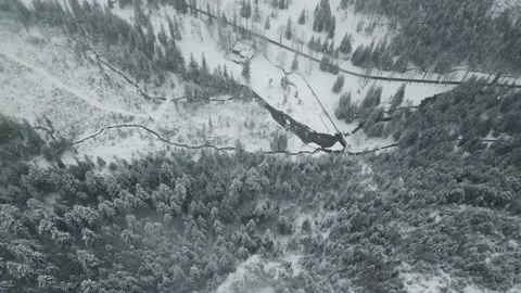 Mountains with forest15 Stock Footage 238851587