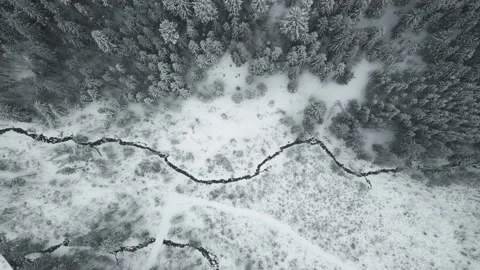 Mountains with forest16 Stock Footage 238856143