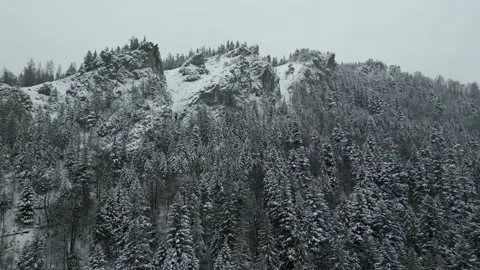 Mountains with forest17 Stock Footage 238856934