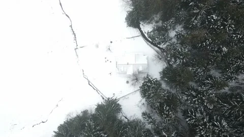 Mountains with forest4 Stock Footage 238774101