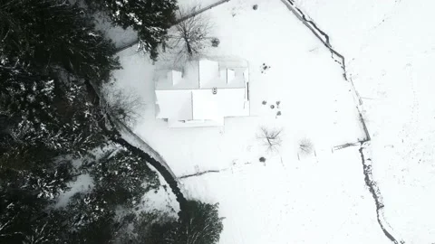 Mountains with forest5 Stock Footage 238774230