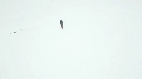 Mountains with forest7 Stock Footage 238774855