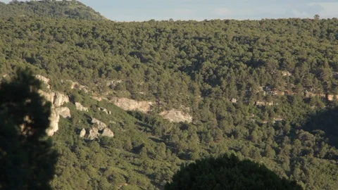 Mountains with forests and cliffs in New Mexico Stock Footage 104877425