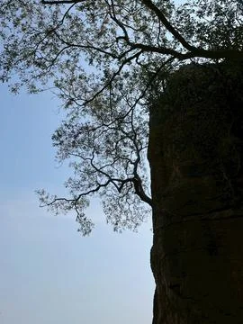 Mountains, forests 스톡 사진