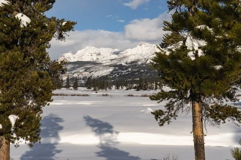 Mountains framed in trees Stock Footage 129773491