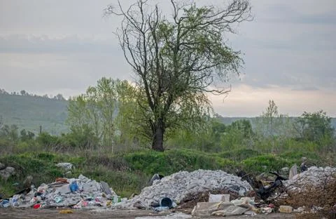 Mountains of garbage in nature. Stock Photos