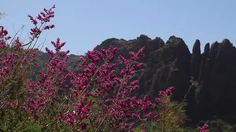 Mountains of Gran Canaria Stockbeeldmateriaal 58802515