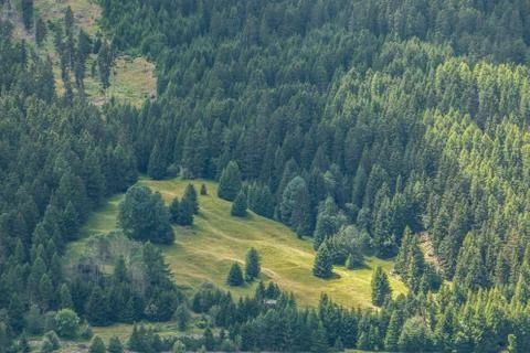 The mountains, green fields, meadows and forests Foto stock