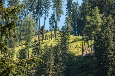 The mountains, green fields, meadows and forests Stock Photos
