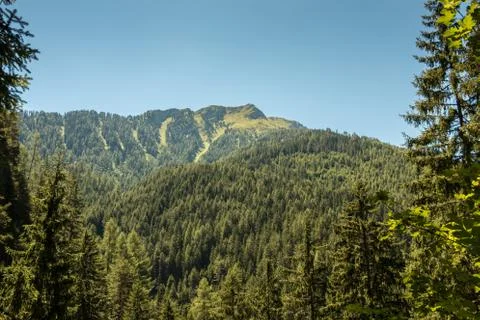The mountains, green fields, meadows and forests Stock Photos