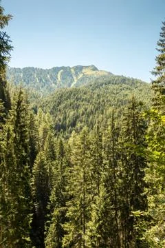 The mountains, green fields, meadows and forests Stock Photos