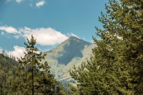 The mountains, green fields, meadows and forests Stock-Fotos