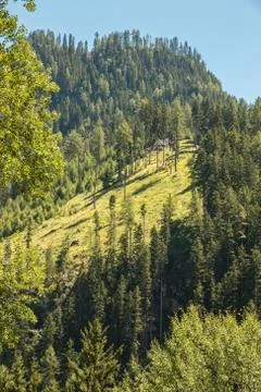 The mountains, green fields, meadows and forests Stock Photos