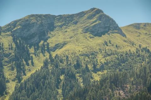 The mountains, green fields, meadows and forests Stock Photos