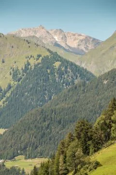 The mountains, green fields, meadows and forests Stock-Fotos