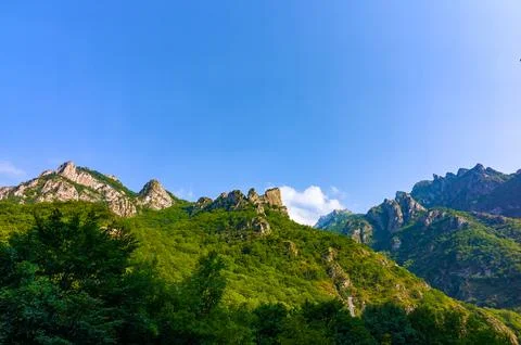Mountains with green trees under a clear blue sky Foto stock