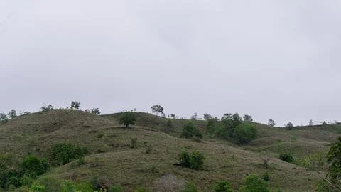 Mountains with greenery partially covered by clouds Stock Photos