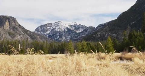 Mountains Hay Grass View Snow Snowcap Mountains Tall Grass Stock Footage 192953286