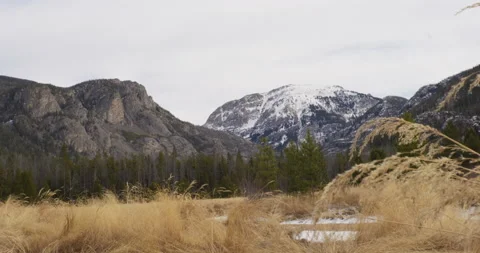 Mountains Hay Grass View Snow Snowcap Mountains Tall Grass Stock Footage 192957643