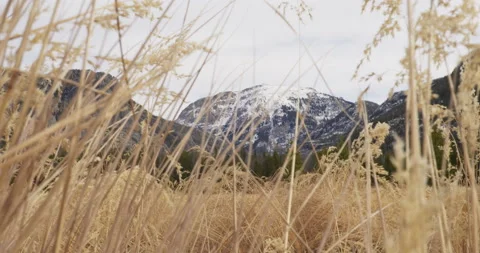 Mountains Hay Grass View Snow Snowcap Mountains Tall Grass Stock Footage 192961602