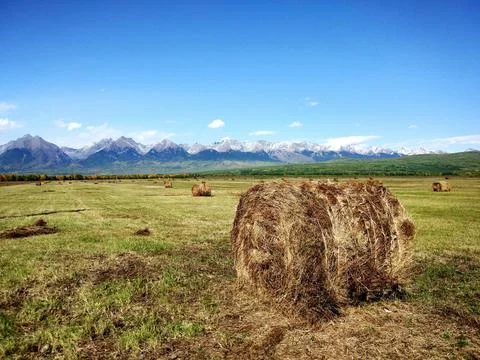 Mountains hidden in the clouds in the valley Stock Photos