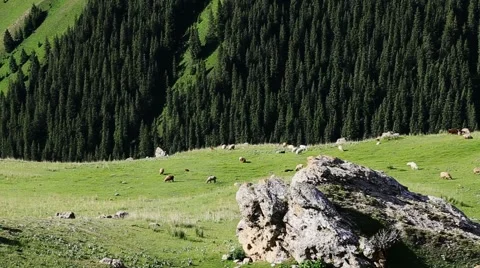 Mountains Ili River Valley Stock Footage 54945816