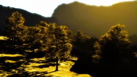 In the mountains Stock Illustration