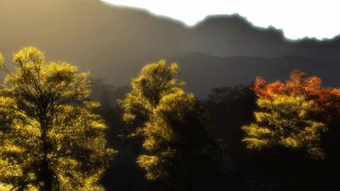 In the mountains Ilustração Stock