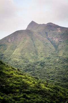 Mountains with jungle Stock Photos