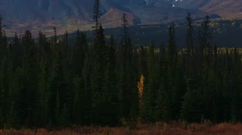 Mountains Of Kluane Stock Footage 9050504