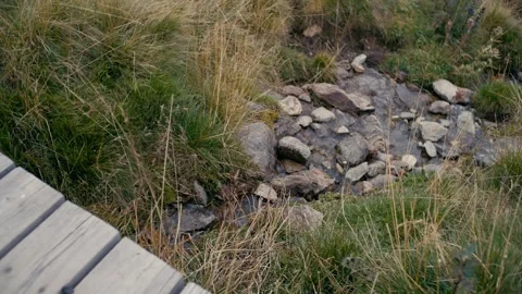 Mountains Landscape Featuring a Small Rocky Stream in the Grassy Alpine Stock-Footage 331168315