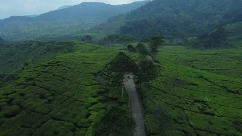 Mountains Landscape 스톡 동영상 258828417