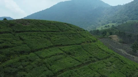 Mountains Landscape Stock Footage 258899763