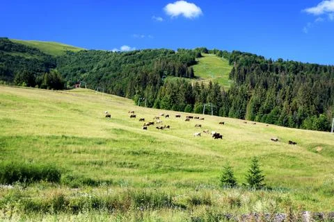 Mountains landscape Stock Photos
